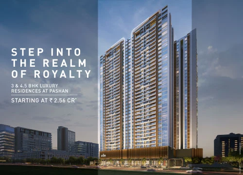 The Lords By Pristine